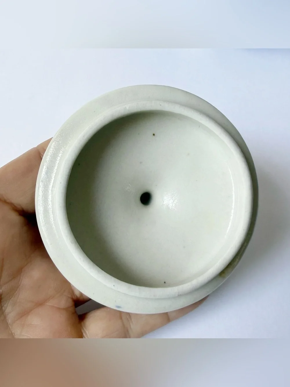 Vintage Chinoiserie Blue Chrysanthemum Floral Bird Lily Pad Porcelain Ginger Jar - Picture 10 of 12